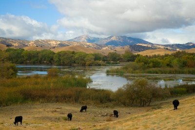 _DSC4807.jpg