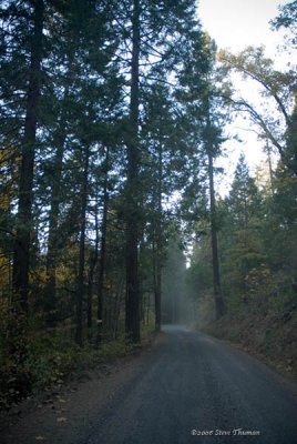 The road to Lyons Lake