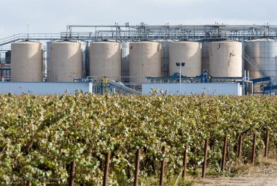 Winery