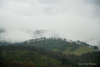_DSC0487.jpg