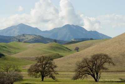 _DSC0600.jpg
