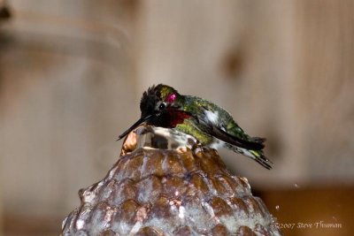 Evening Bath