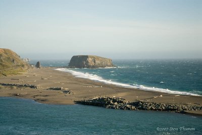 _DSC8646.jpg