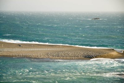 _DSC8647.jpg