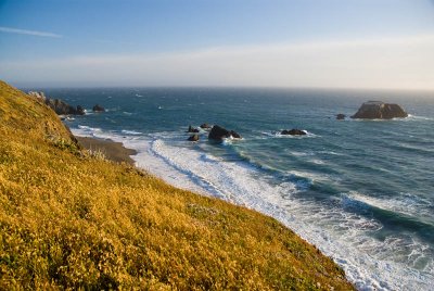 _DSC8655.jpg