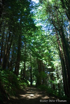 _DSC8856.jpg