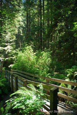_DSC8858.jpg