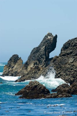 _DSC8901.jpg