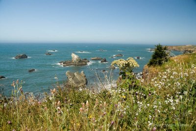 _DSC9133.jpg