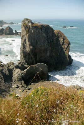 _DSC9138.jpg