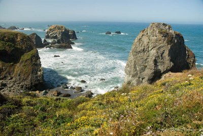 _DSC9141.jpg