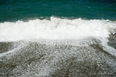 _DSC9179.jpg
