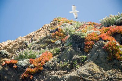 _DSC9201.jpg