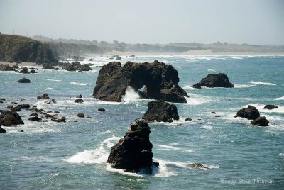 _DSC9212.jpg