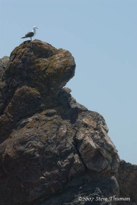 _DSC9375.jpg