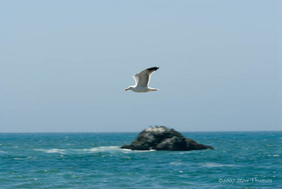 _DSC9384.jpg