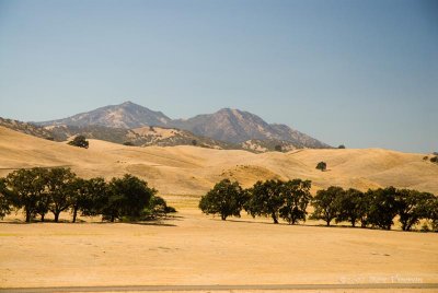 _DSC3123.jpg