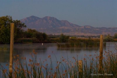 _DSC3156.jpg