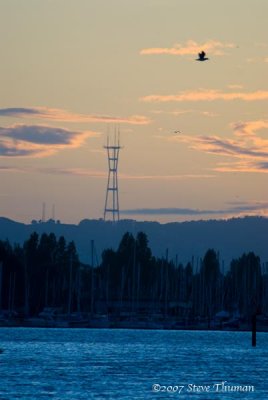 Sutro Tower at Sunset