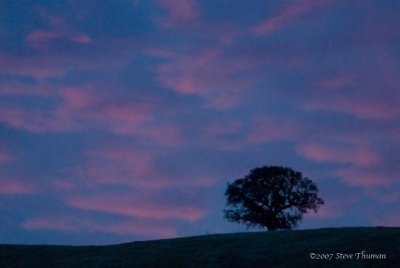 Oak View Sunrise