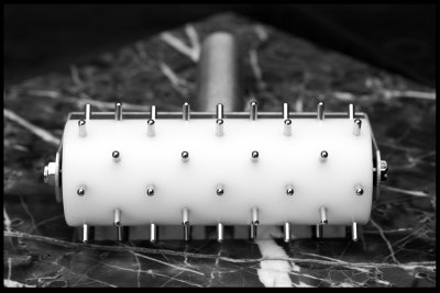 _MG_6913-12x18-BW-JPG.jpg