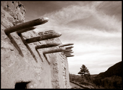 _MG_7535-duotone-JPG.jpg