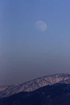 Moon rise in the daytime