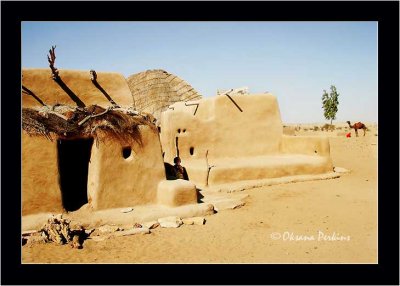 Jaisalmer Camel Hut