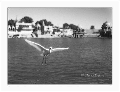 Jodhpur Lake