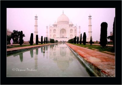 Taj Mahal Pink Reflection Sari