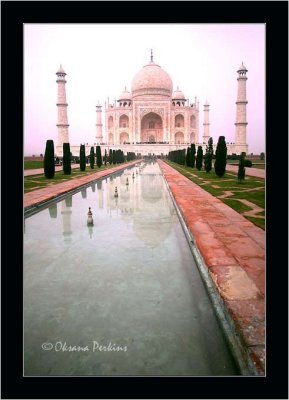 Taj Mahal Pink Reflection