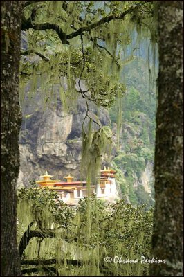 Tiger Nest Monastery 1
