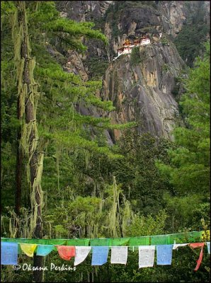 Tiger Nest Monastery 2