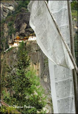 Tiger Nest Monastery 3