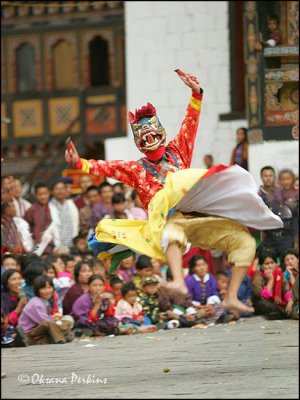 Dog Dance, Tshechu Festival