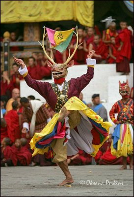 Deer Dance, Tshechu Festival