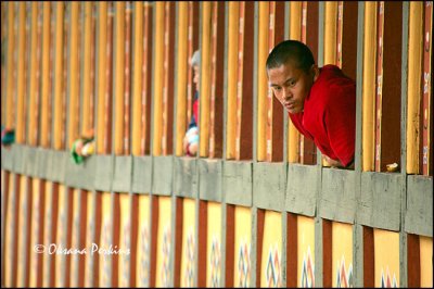 Balcony Audience, Tshechu Festival