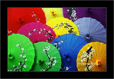 Umbrellas, Xian
