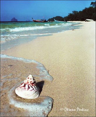 Shell, Pang Na Islands