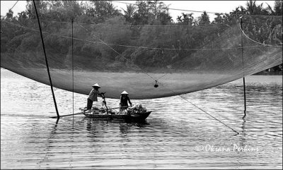 Fishing Nets 4, Hoi An, Central Vietnam