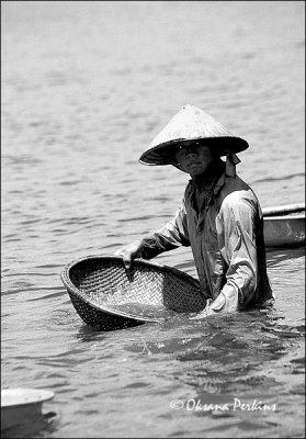 Clam Digger, Hoi An, Central Vietnam