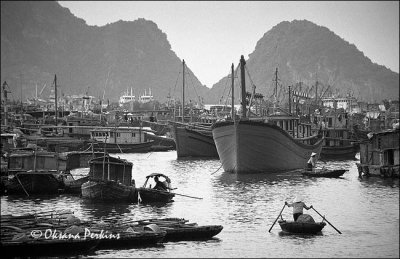 Cat Ba Island 2, Northern Vietnam