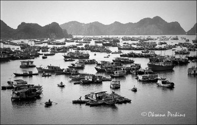 Cat Ba Island 3, Northern Vietnam