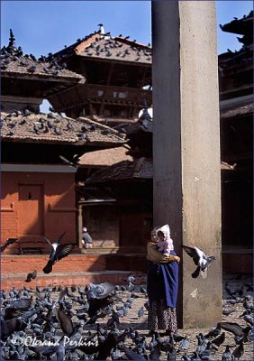 Pigeons 1, Durbar Square, Kathmandu