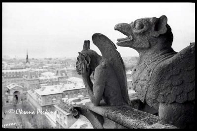 Gargoyle 2, Notre Dame