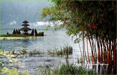 Ulan Danau Temple & Bamboo