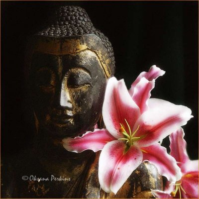 Buddha & Lilies
