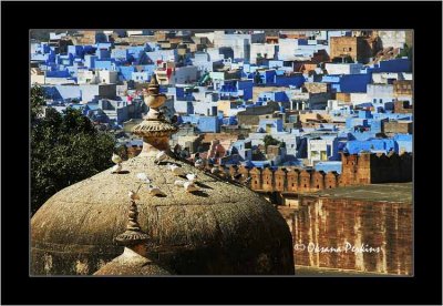 Cupolas, Jodhpur