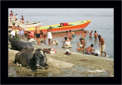 Varanasi Ghats