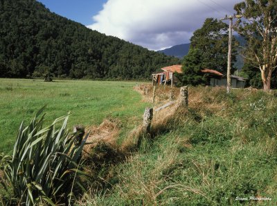 NZ_Farm.jpg